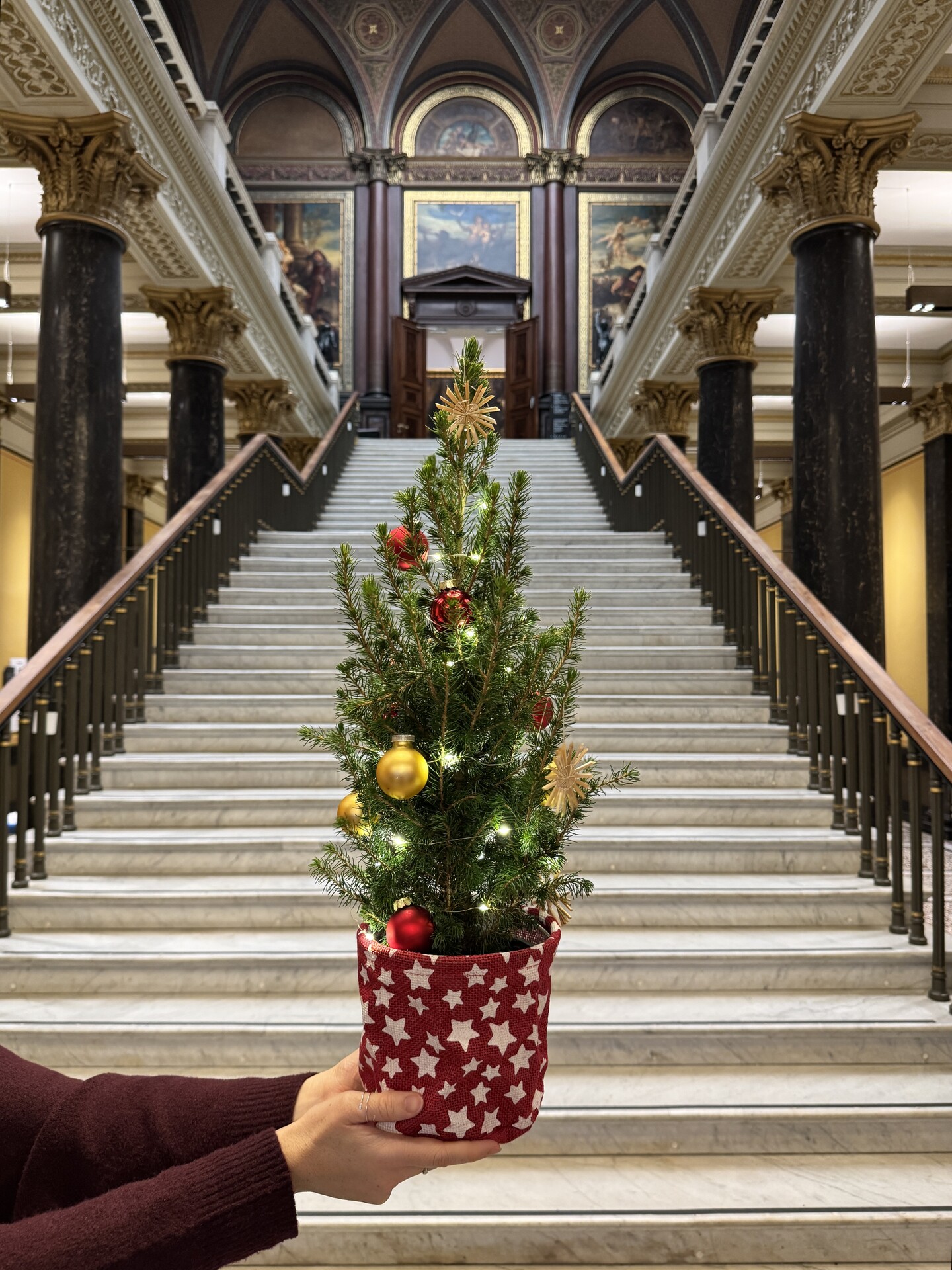 Kleiner Weihnachtsbaum im Altbautreppenhaus