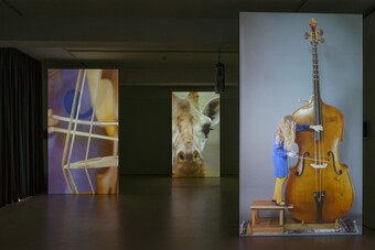 Annika Kahrs (*1984) Infra Voice, 2018 3-Kanal-Videoinstallation, 10:35 Min., in Farbe, mit Ton Hamburger Kunsthalle, Dauerleihgabe des Fonds für Junge Kunst der Stiftung Hamburger Kunstsammlungen © Annika Kahrs Foto: Hans Wulf Kunze Annika Kahrs (*1984) Infra Voice, 2018 3-Kanal-Videoinstallation, 10:35 Min., in Farbe, mit Ton Hamburger Kunsthalle, Dauerleihgabe des Fonds für Junge Kunst der Stiftung Hamburger Kunstsammlungen © Annika Kahrs Foto: Hans Wulf Kunze