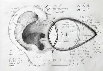 Dora García (*1965), L'insecte 21 (aus der Serie Mad Marginal Charts), 2023 © Courtesy the artist and Michel Rein, Paris / Brussels