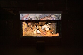 Ho Tzu Nyen (*1976), One or Several Tigers (Installationsansicht Singapore Art Museum, 2023), 2017, Sammlung des Singapore Art Museum © Courtesy of the artist, Kiang Malingue, neugerriemschneider und Singapore Art Museum Foto: Memphis West Pictures