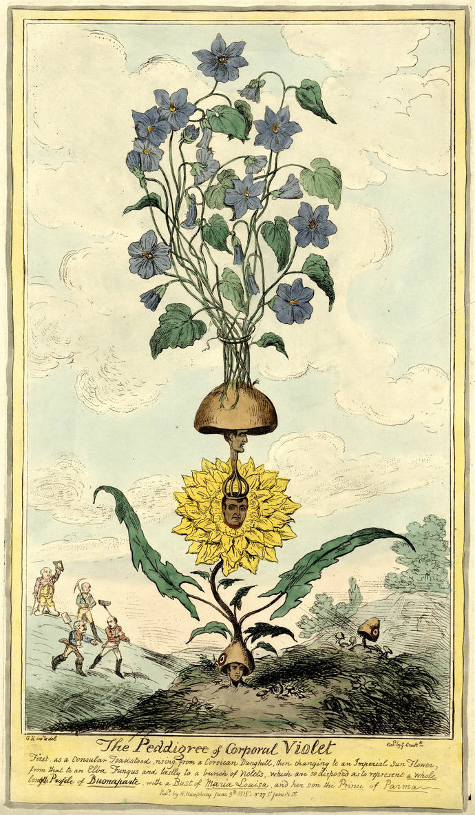 Isaac Cruikshank (1756 - 1810), Billy's Fantoccini or John Bull over Curious 270 x 415 mm Radierung aquarelliert, Museum für Kunst und Gewerbe Hamburg