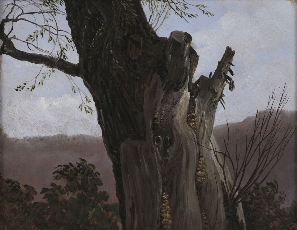 Carl Gustav Carus (1789–1869) Baumstudie, 1837 Öl auf Karton, 18 x 22,6 cm  Sammlung Wohlfarth, Hamburg © Foto: Christoph Irrgang