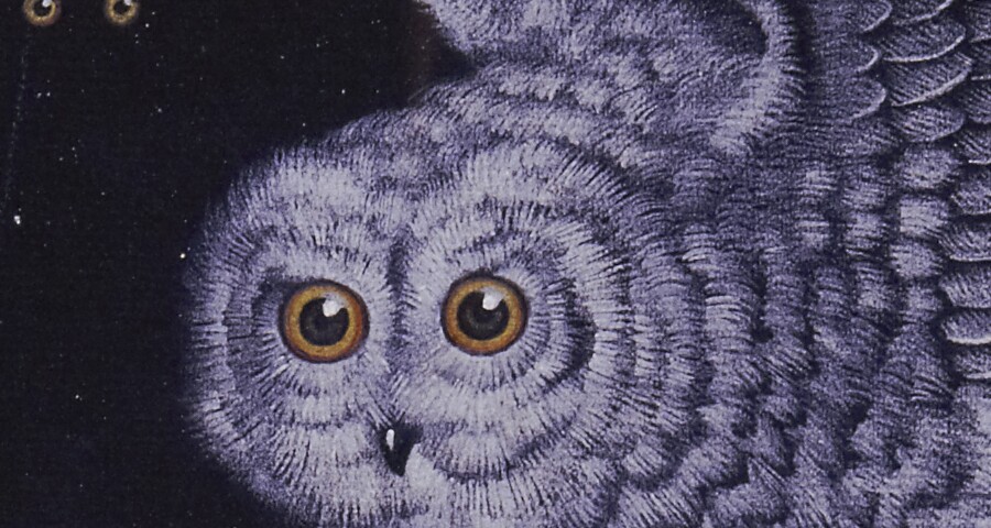 Valentine Hugo, Die Wahrheit würde in Gestalt einer Schneeeule vom Himmel fallen, 1932