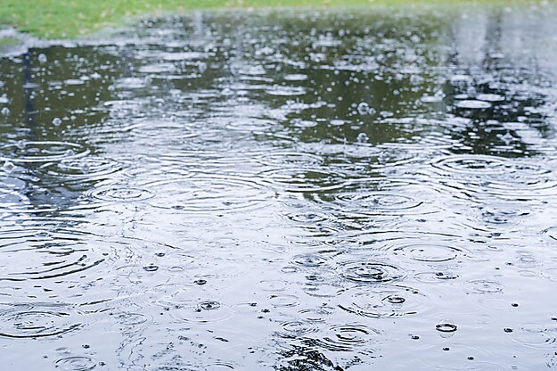 Leben mit Wasser © Hamburg Wasser, Foto: Jörg Böthling