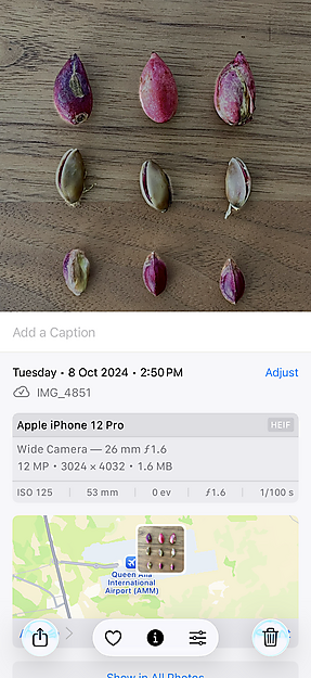 Pistachios for Benedicte, 2024, ©Akram Zaatari